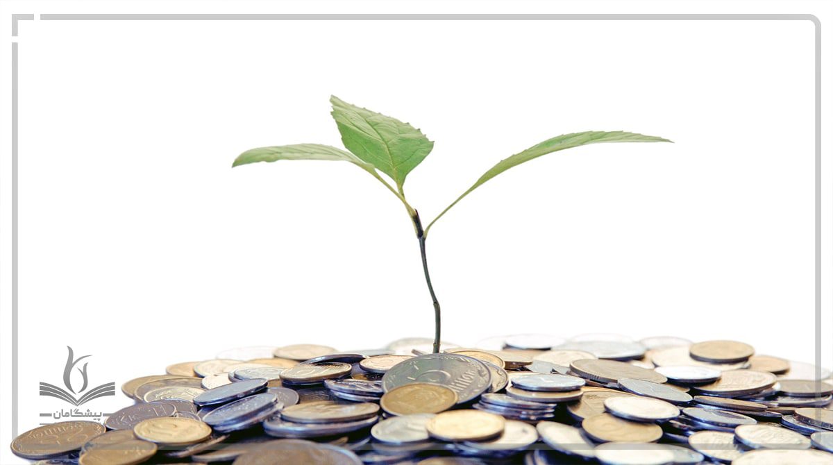 سرمایه گذاری خطر پذیر در طرح های دانش بیان